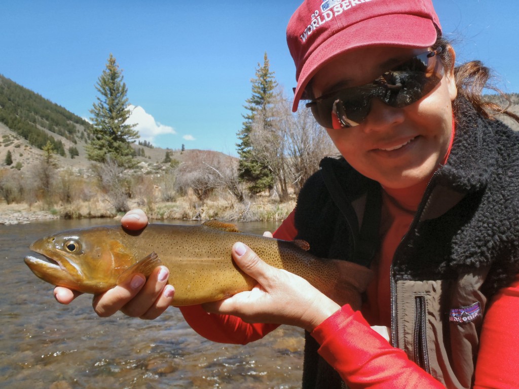Cutthroat Trout on the Taylor River
