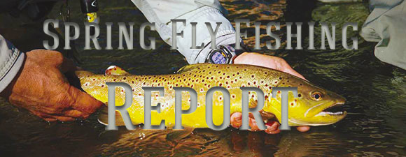 Taylor River Spring Fly Fishing Report