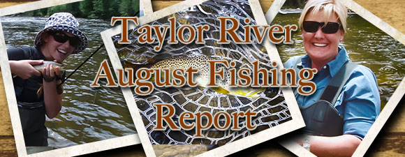 August Fly Fishing Report