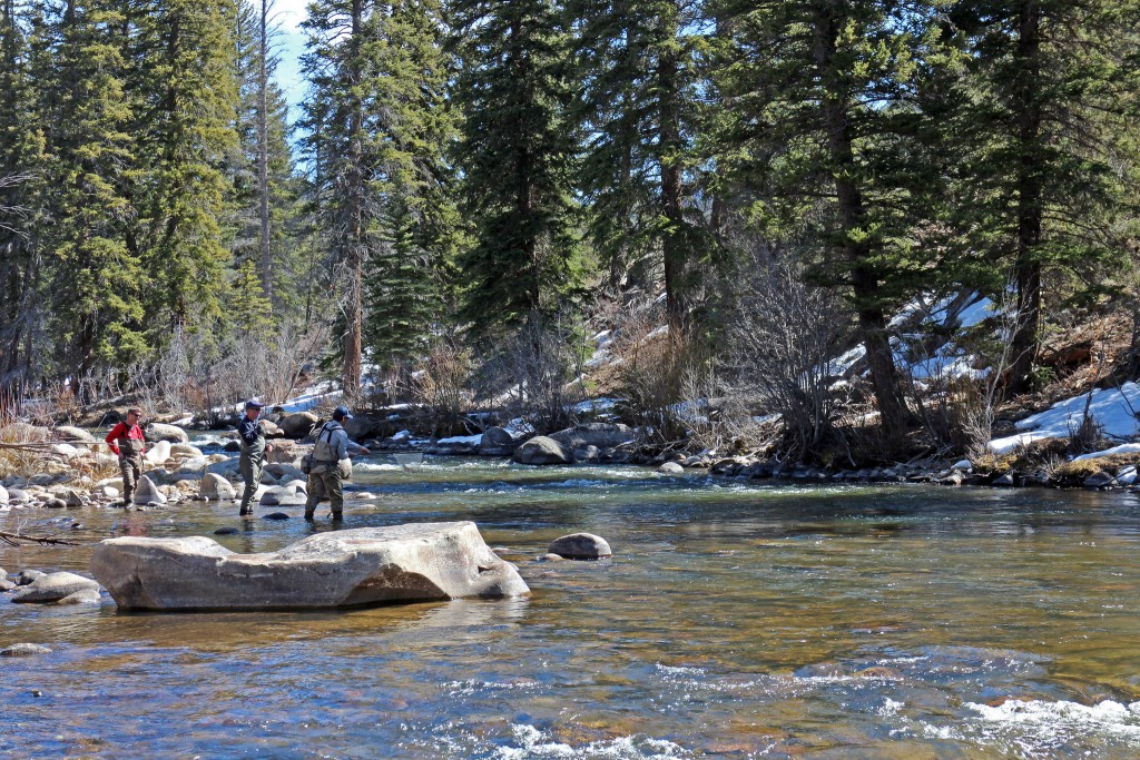 Fishing the Taylor River