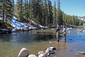 Fly Fishing at Wilder on the Taylor River