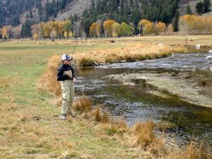 Taylor River Fly Fishing Report