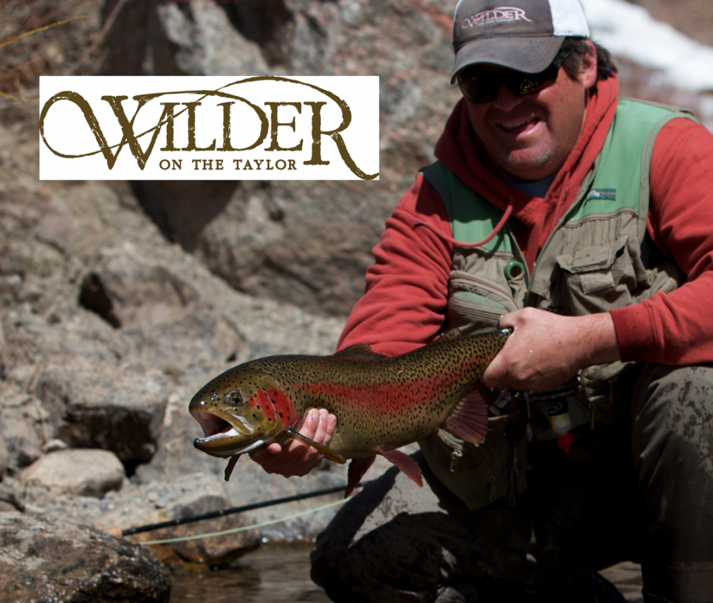 Fly-Fishing Wilder on the Taylor