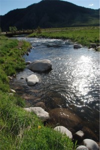 Rarick Creek at Wilder Colorado image