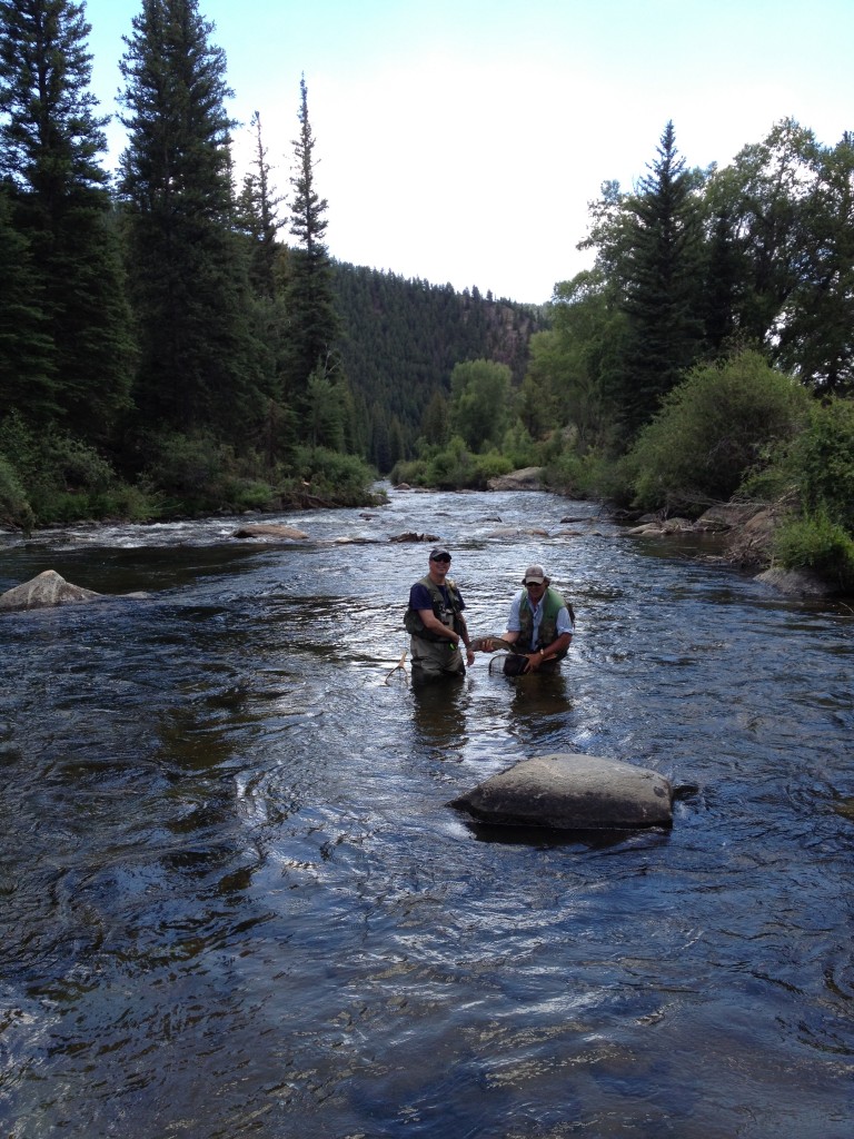 Big Brown Trout at Wilder photo