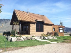 Wilder on the Taylor Mountain Cabin