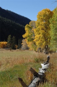 Crested Butte Fall Foliage picture