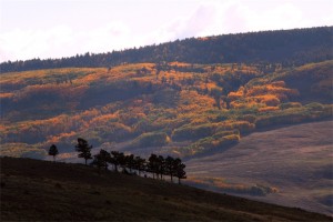 Mountain Fall Foliage picture