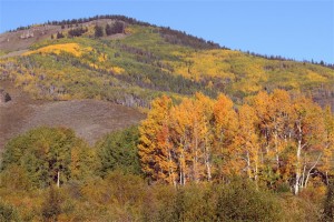 Mountain Fall Foliage picture