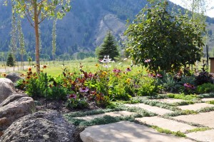 Wildflowers and Landscape