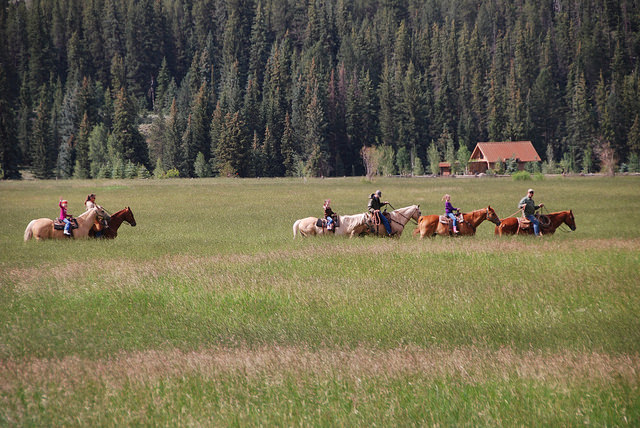 horseback riding