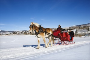 Sleigh ride.