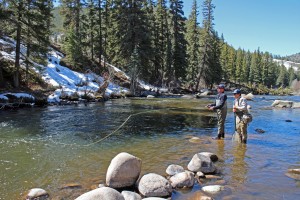 Fly Fishing at Wilder on The Taylor