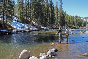 Taylor River