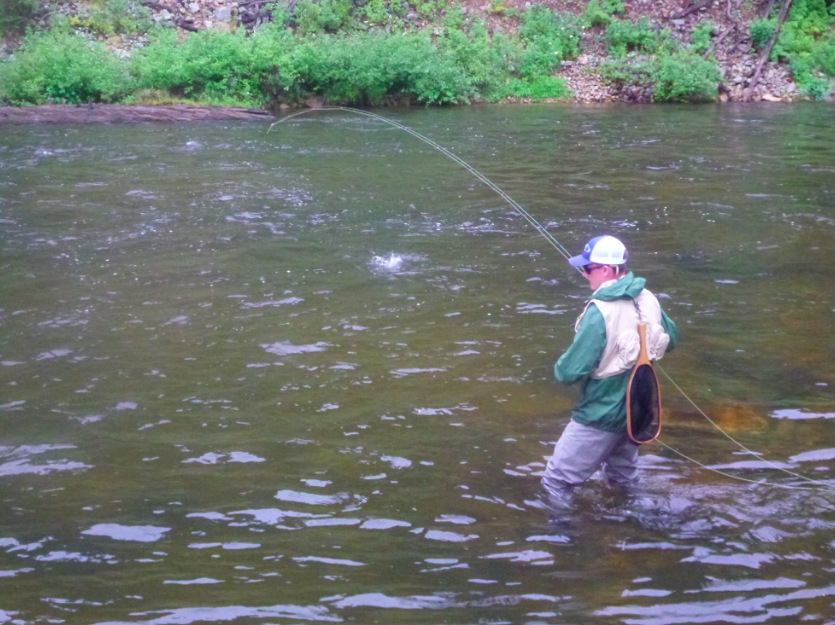 Taylor River FlyFishing Report August 18, 2015