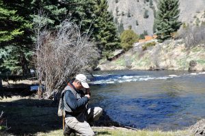 taylor river fishing report