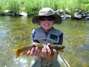 Taylor River Fly Fishing Report