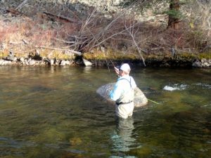 Taylor River Fly Fishing Report