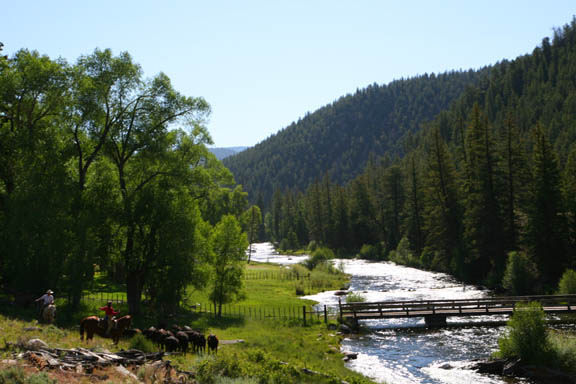 Summer in Wilder on the Taylor