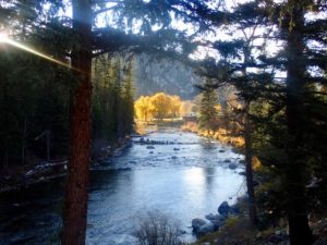 fly fishing report