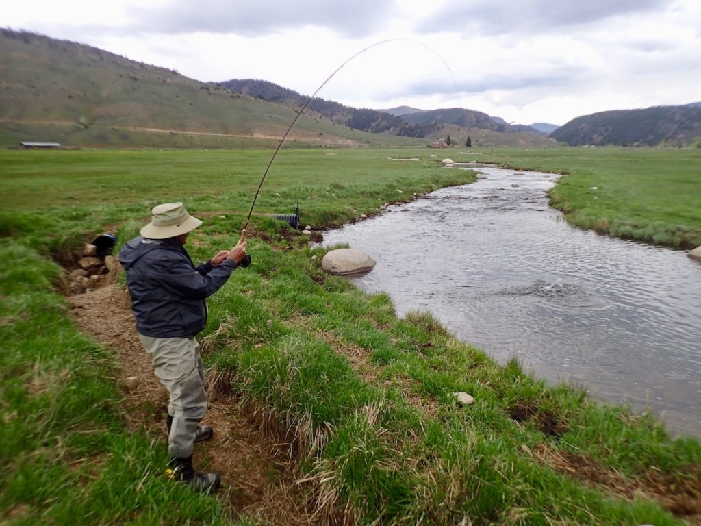 Fly Fishing Report June 2019 Dream Stream