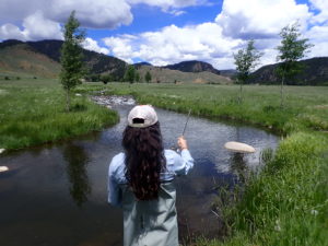 Taylor River Fishing Report July- The Dream Stream