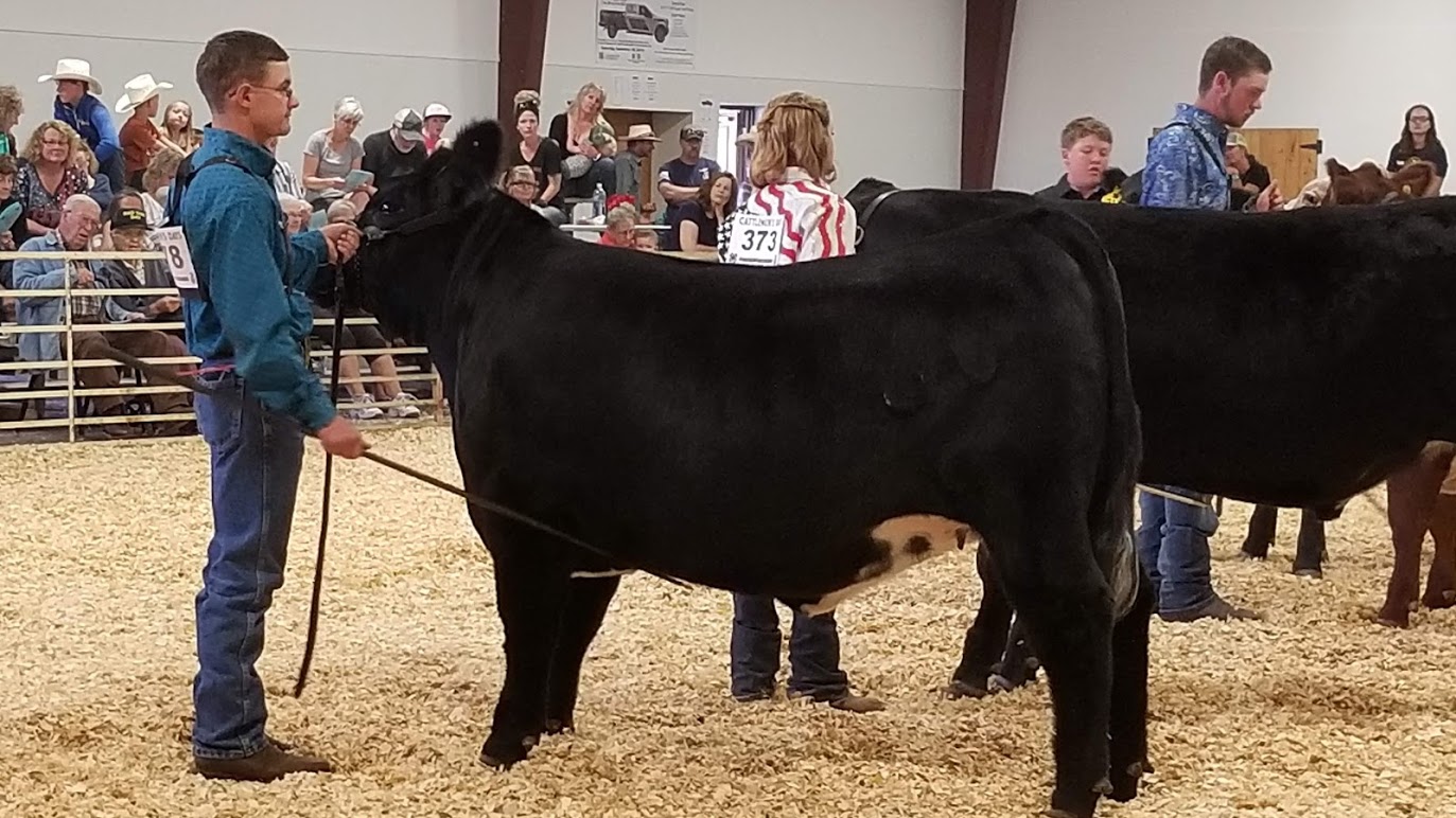 Wilder's Clay Sabrowski Grand Champion Awards