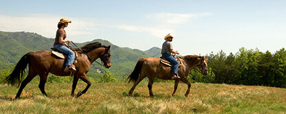 HORSEBACK RIDING