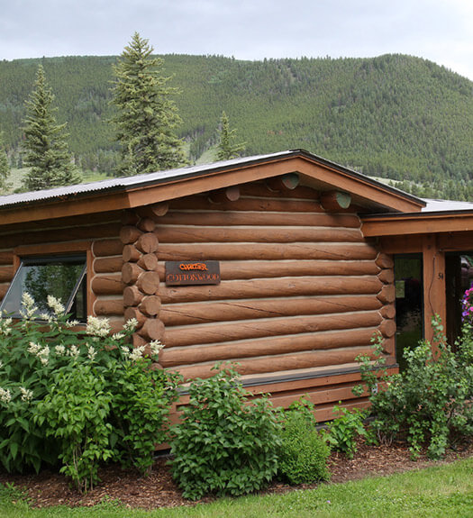 wilder cabin