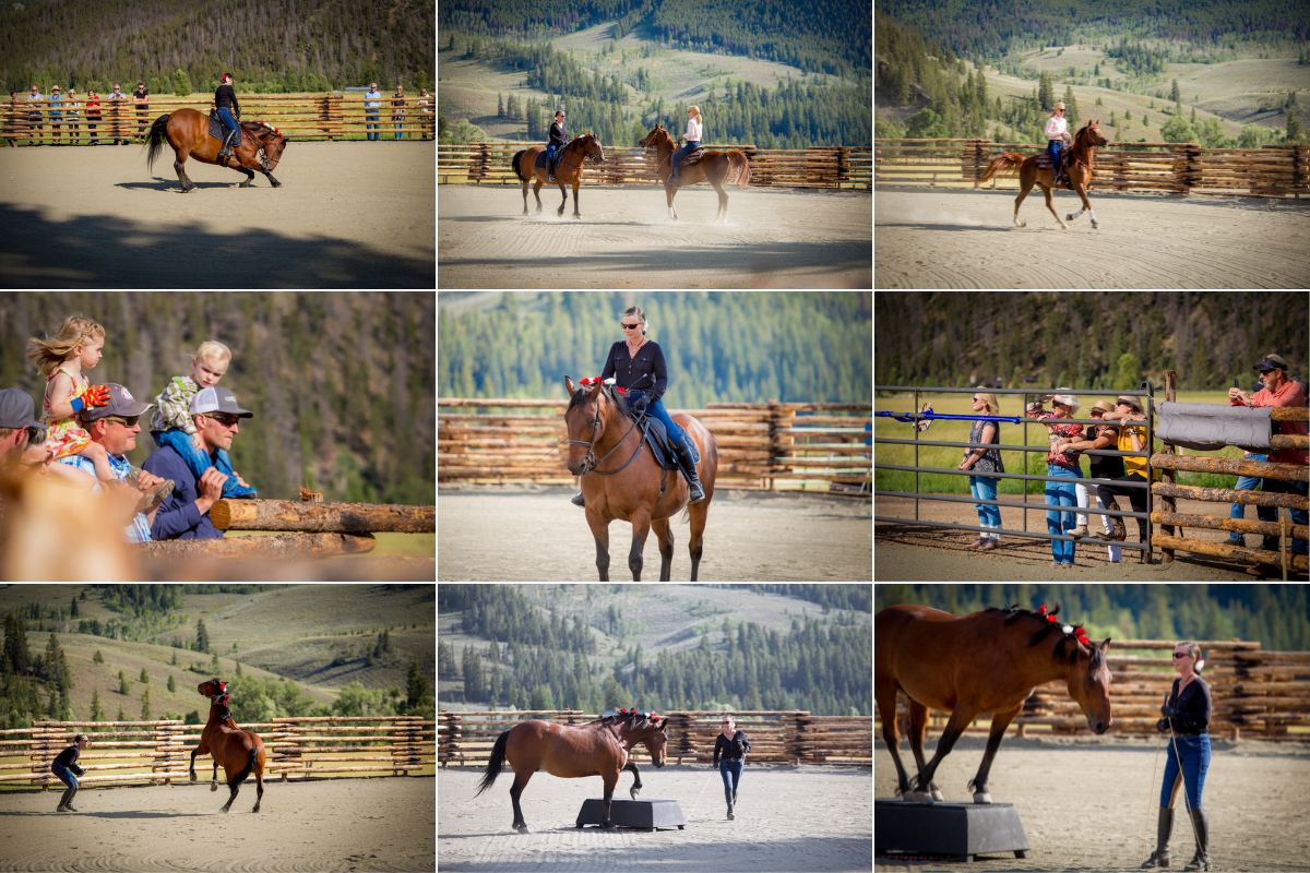 Wilder Horse Arena Dedication Show